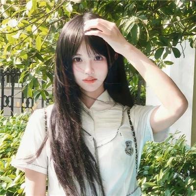 日巡者